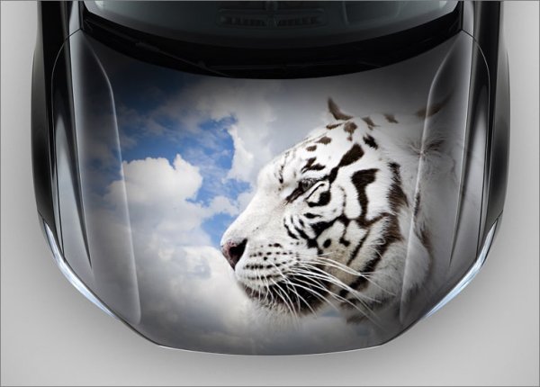 Винил на капот