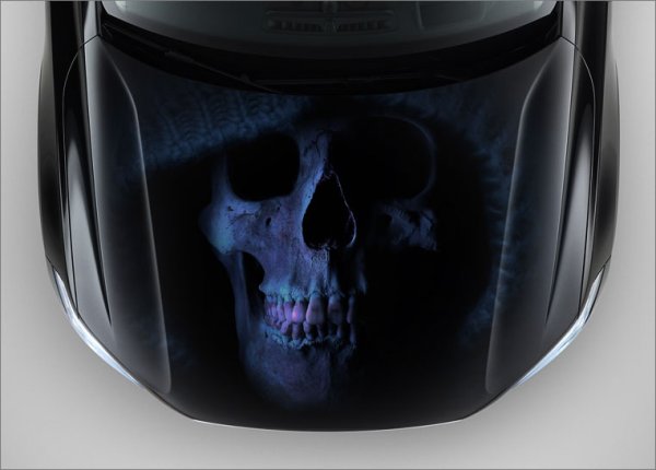 Тигр на капоте авто