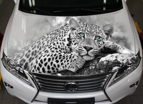 Наклейки на капот автомобиля 3д