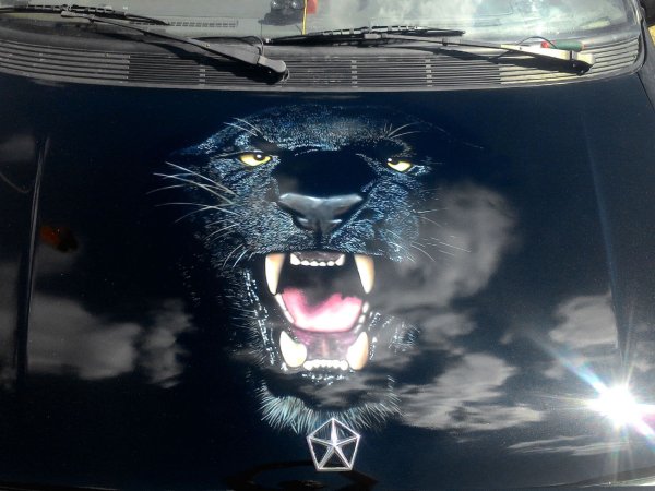 Наклейки на черную машину