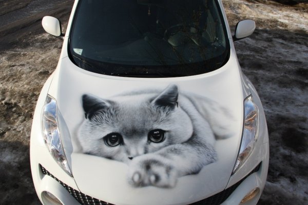 Череп на машине