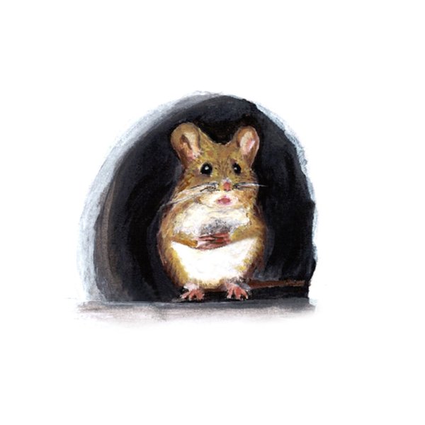 Стикер дом мыши