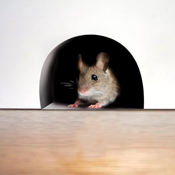 Стена с дыркой для мыши