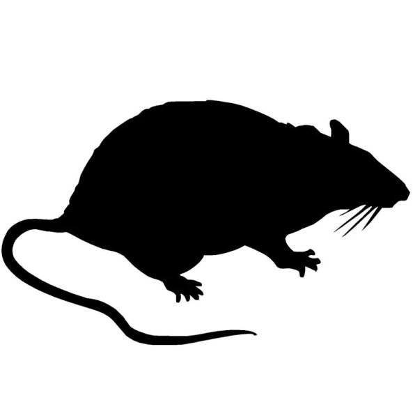 Крыса силуэт