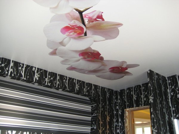 Виниловые наклейки на натяжной потолок