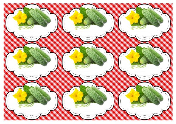 Макет этикетки