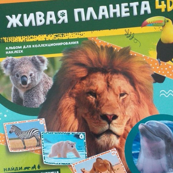 Наклейка Живая Планета номер 66 ласка