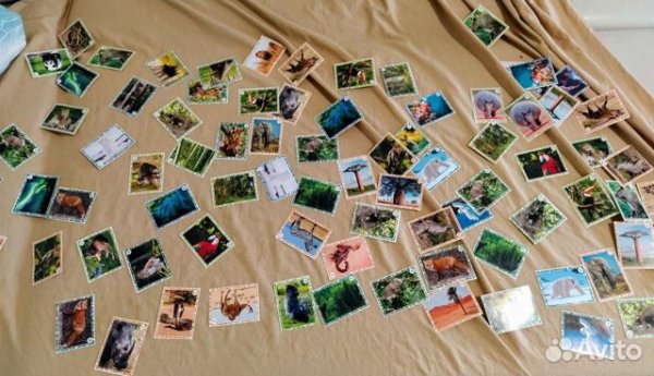 Живая Планета 4d наклейки