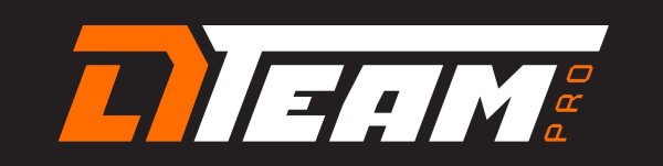 DL Audio наклейка на стекло