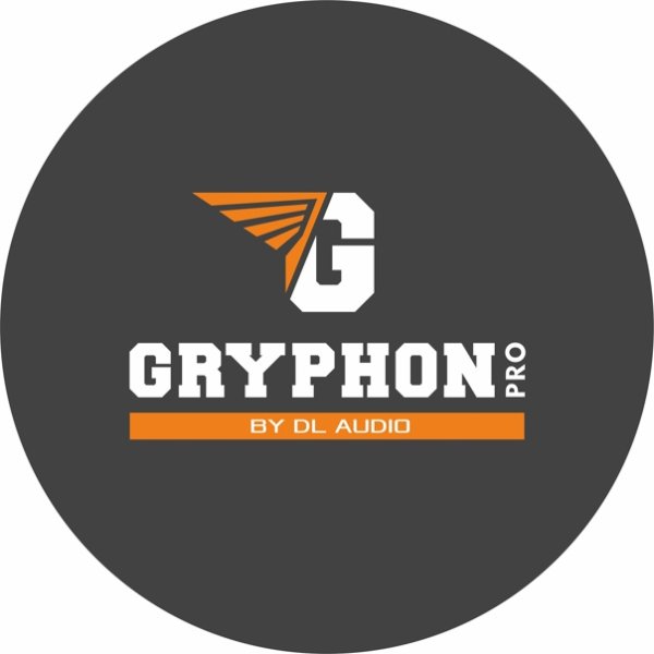 Наклейка DL Audio на машине