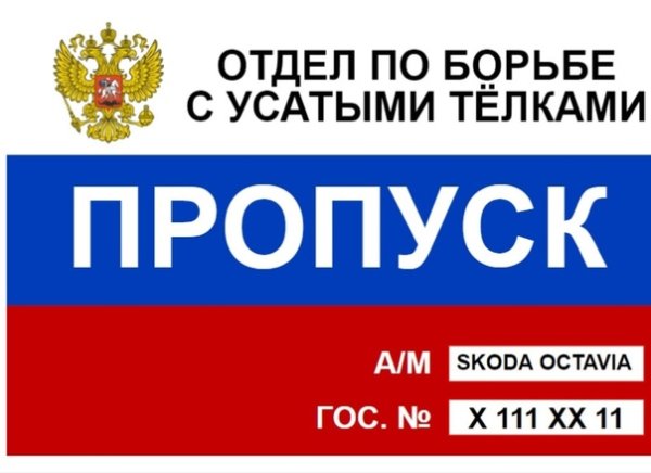 Отдел по борьбе с усатыми тёлками пропуск