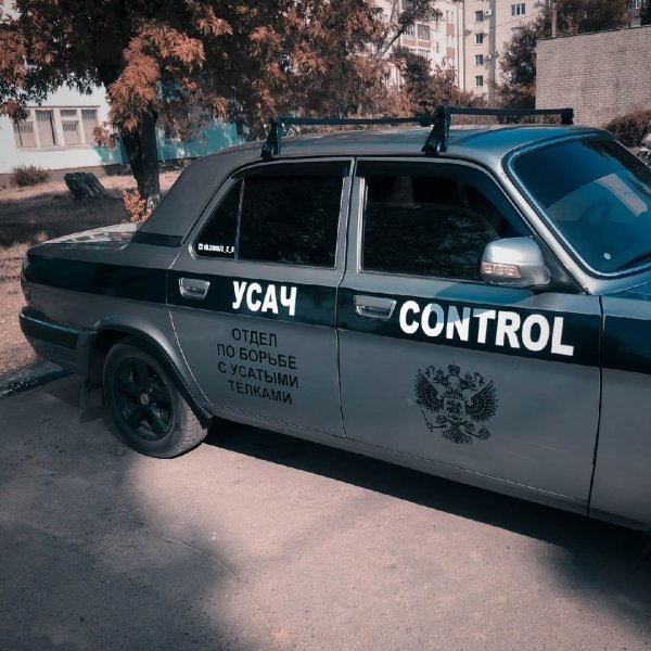 Отдел по борьбе с усатыми телками