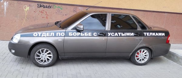 Отдел по борьбе с усатыми тёлками машина