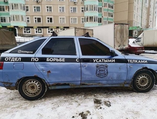 ШКУРНАДЗОР ВАЗ 2114