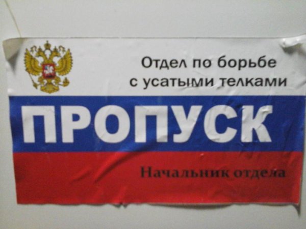 Рамка для номера отдел