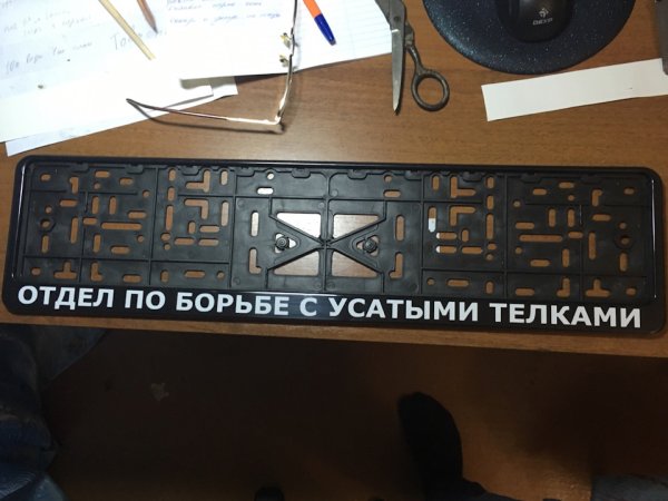 Отдел по борьбе с усатыми тёлками