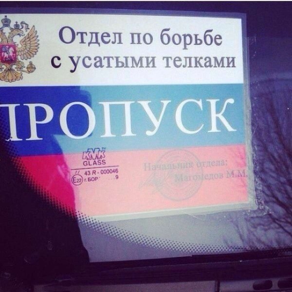 По борьбе с усатыми