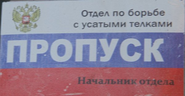 2107 Отдел по борьбе с усатыми тёлками