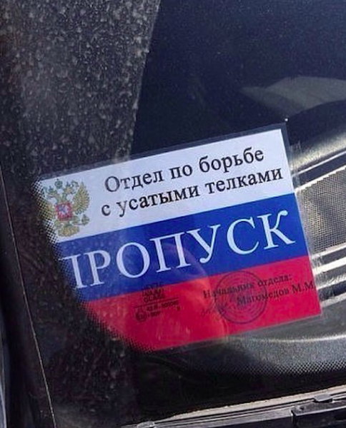 Наклейка отдел по борьбе с усатыми