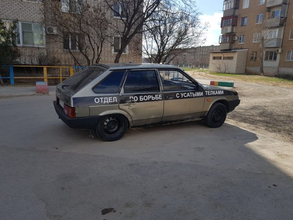 Отдел по борьбе с усатыми телками