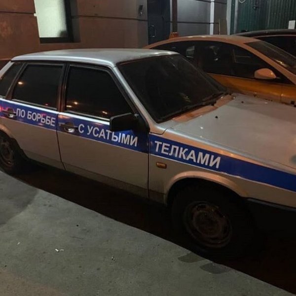 Наклейки на авто отдел по борьбе с усатыми