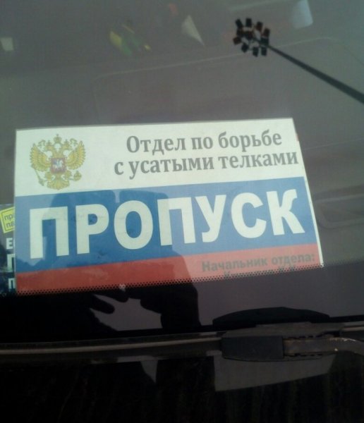 По борьбе с усатыми