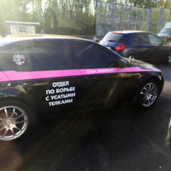 Отдел по борьбе с усатыми телками