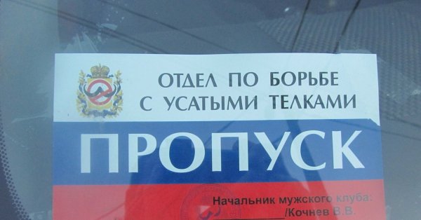 Отдел по борьбе с усатыми телками