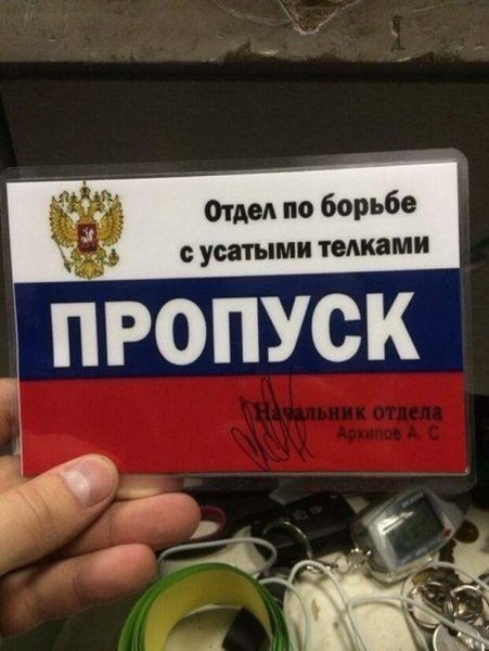 Отдел по борьбе с телками