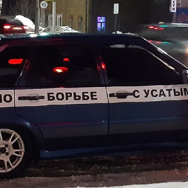 Пропуск по борьбе с усатыми тёлками