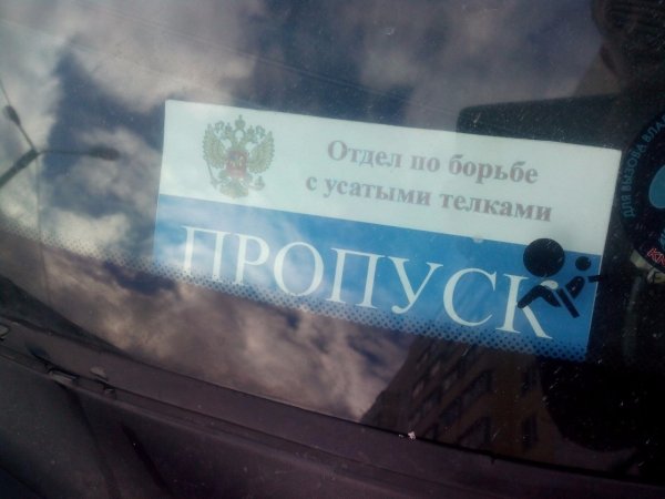 Отдел по борьбе с усатыми тёлками пропуск