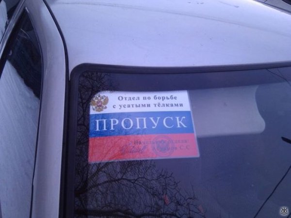 Полоска полиция на машину