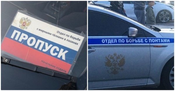 По борьбе с усатыми телками