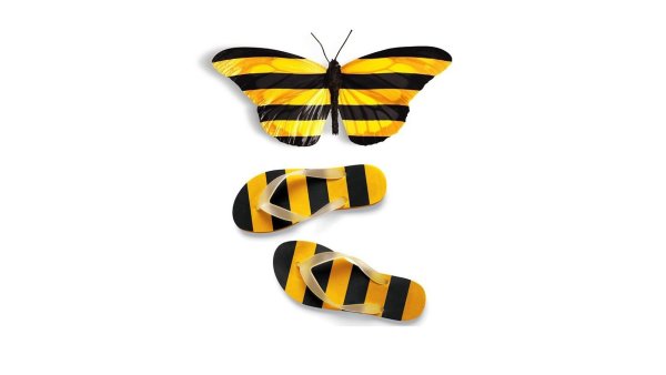 Билайн енот