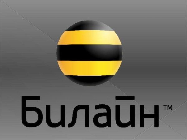 Билайн енот