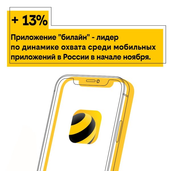 Билайновский енот