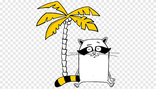 Енот на велосипеде