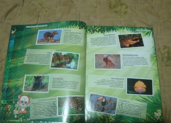 Стикер Мания