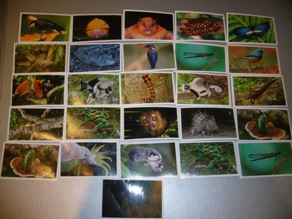 Наклейки из карусели с животными