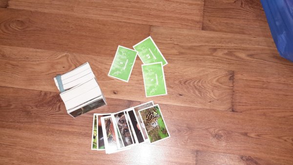 Стикермания Спар