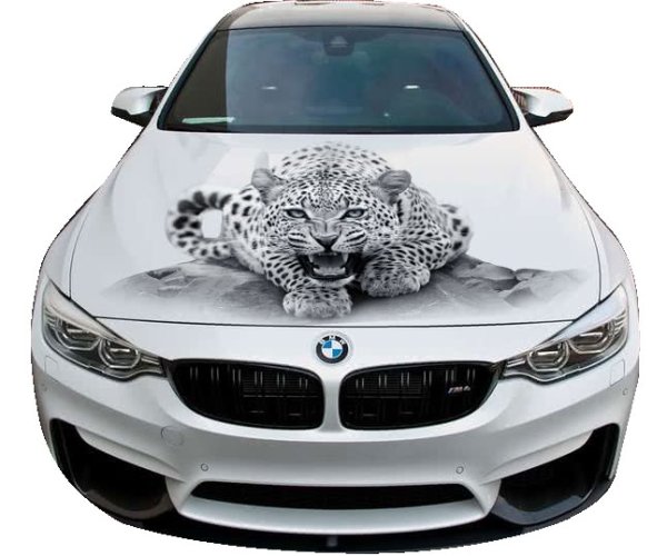 Красивые наклейки на капот автомобиля