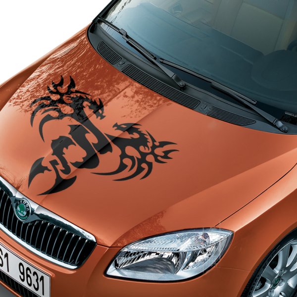 Виниловые наклейки на капот