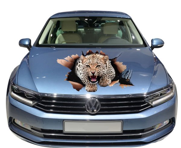 Виниловые наклейки на капот автомобиля