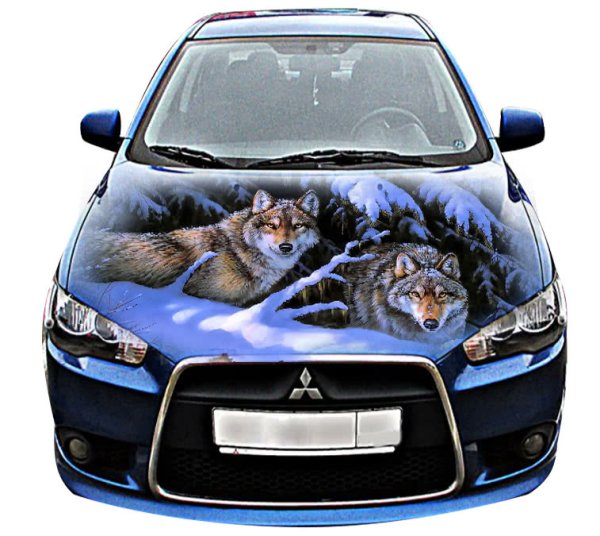 Винил на капот автомобиля