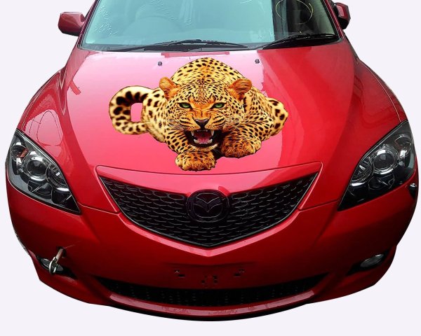 Наклейка на капот леопард