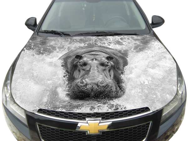 Большая наклейка на капот автомобиля