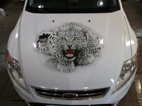 Винилография леопард