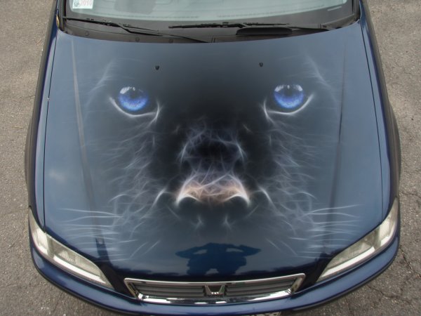 Винил на капот автомобиля