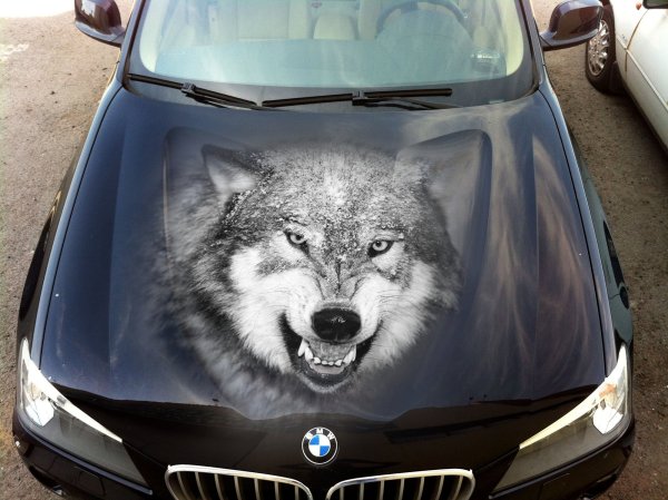 Аэрография на капот автомобиля