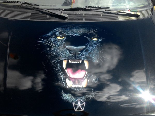 Наклейки на капот черного автомобиля